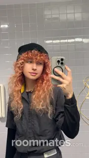 Roommate looking Springfield, MO, $800