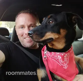 Roommate looking Cincinnati, OH, $700