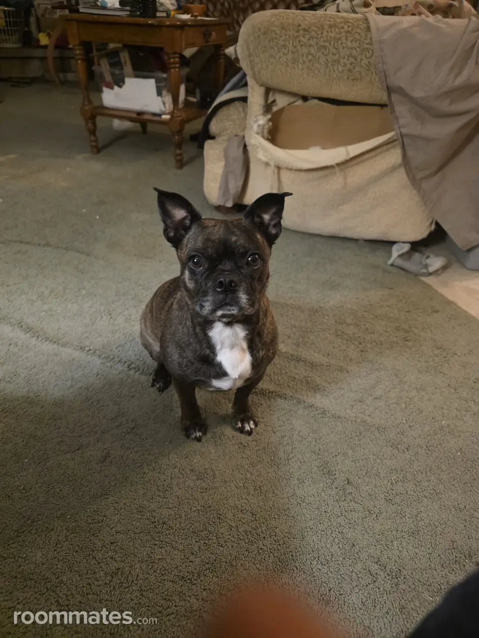 Profile photo 3 of 4