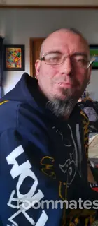 Roommate looking Ann Arbor, MI, $500