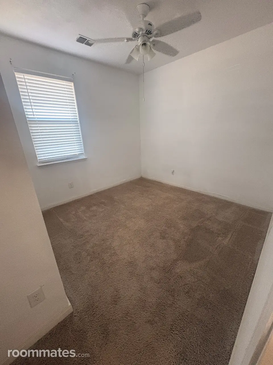 Profile photo 2 of 3