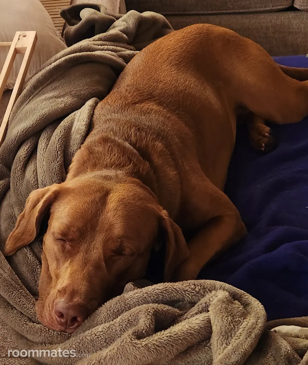 Profile photo 9 of 10