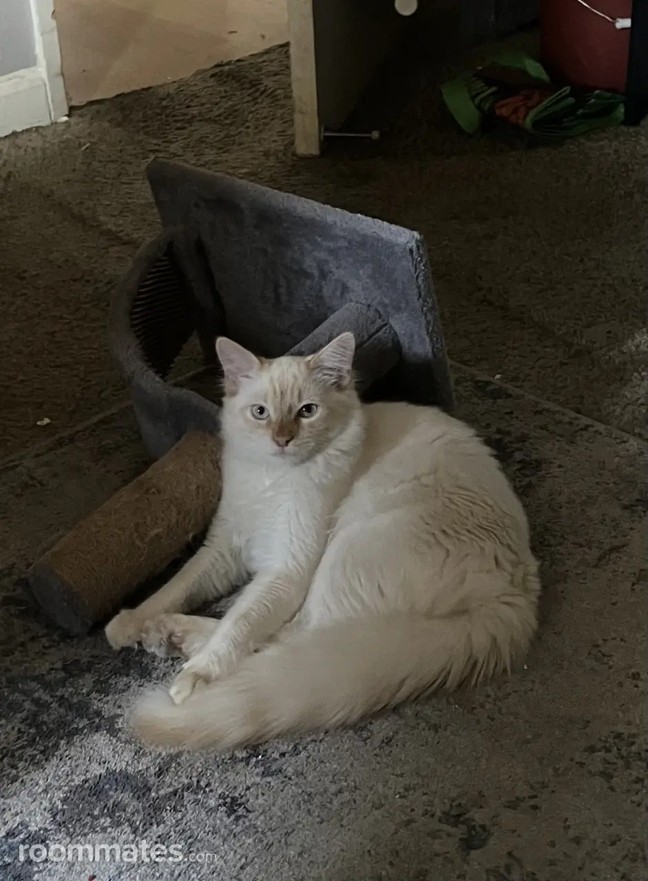 Profile photo 3 of 4