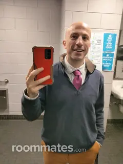 Roommate looking Ferndale, MI, $900