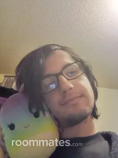 Roommate looking Youngstown, OH, $600