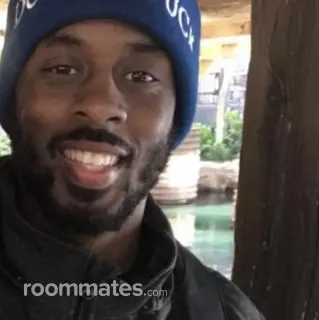 Roommate looking Austin, TX, $1200