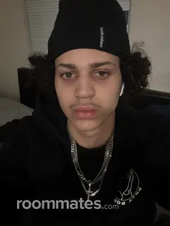 Roommate looking Frederick, MD, $500