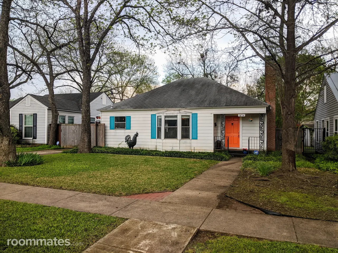 Profile photo 1 of 11