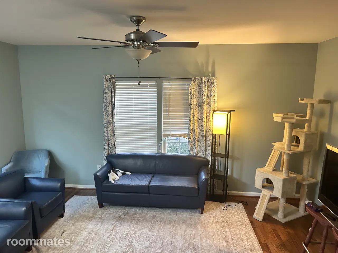 Profile photo 3 of 4