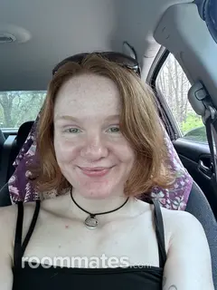 Roommate looking Manchester, MI, $900