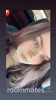 Roommate looking Albuquerque, NM, $600