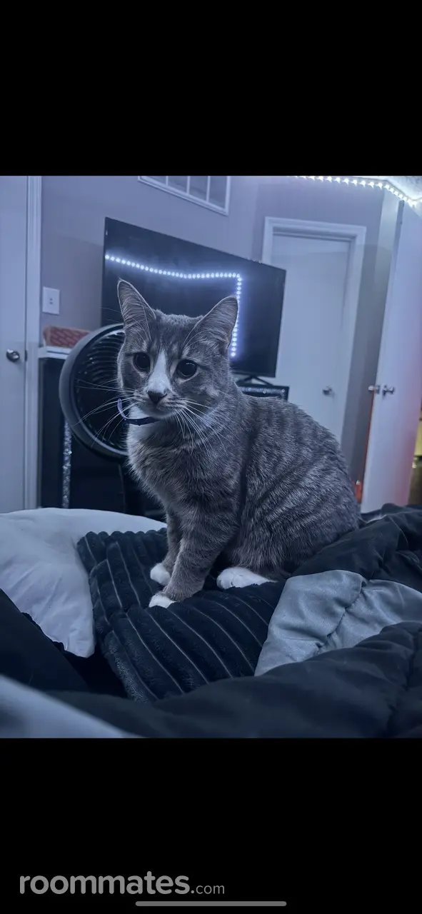 Profile photo 8 of 11