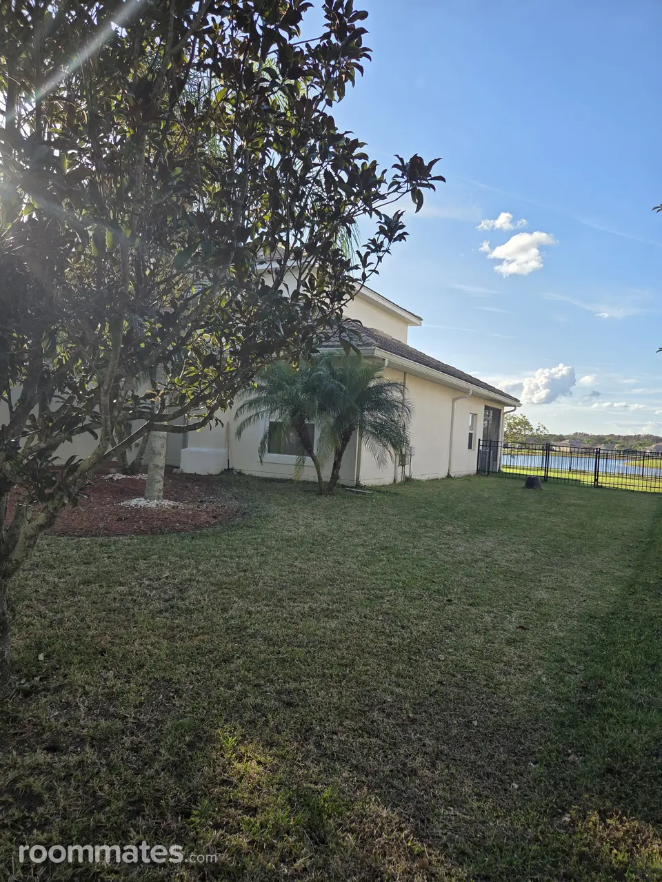 Profile photo 2 of 3