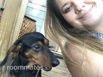 Roommate looking Jacksonville, FL, $800