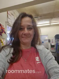 Roommate looking Findlay, OH, $800