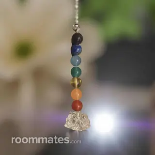 Roommate looking Naperville, IL, $800