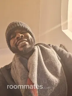 Roommate looking Taylor, MI, $1800