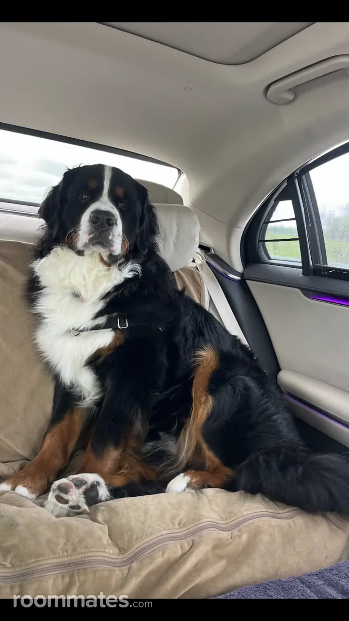 Profile photo 5 of 5