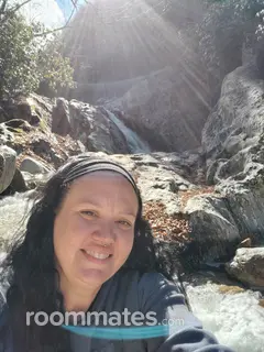 Roommate looking Asheville, NC, $700