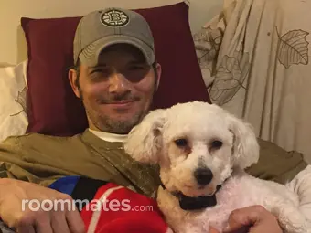 Roommate looking Springfield, MA, $800