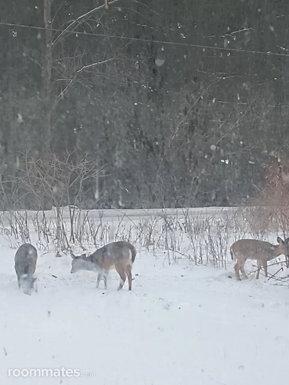 Profile photo 9 of 17