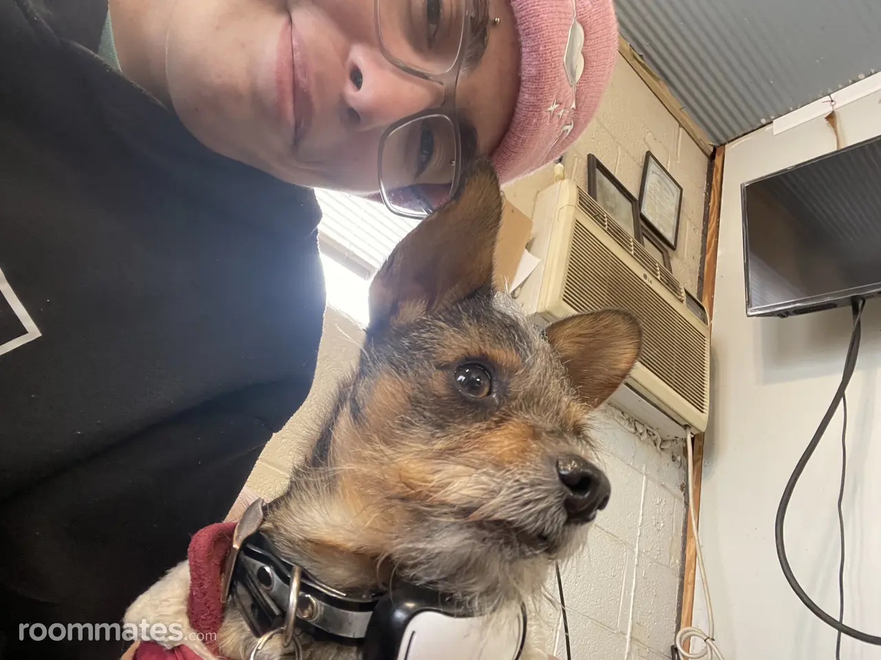 Profile photo 1 of 1