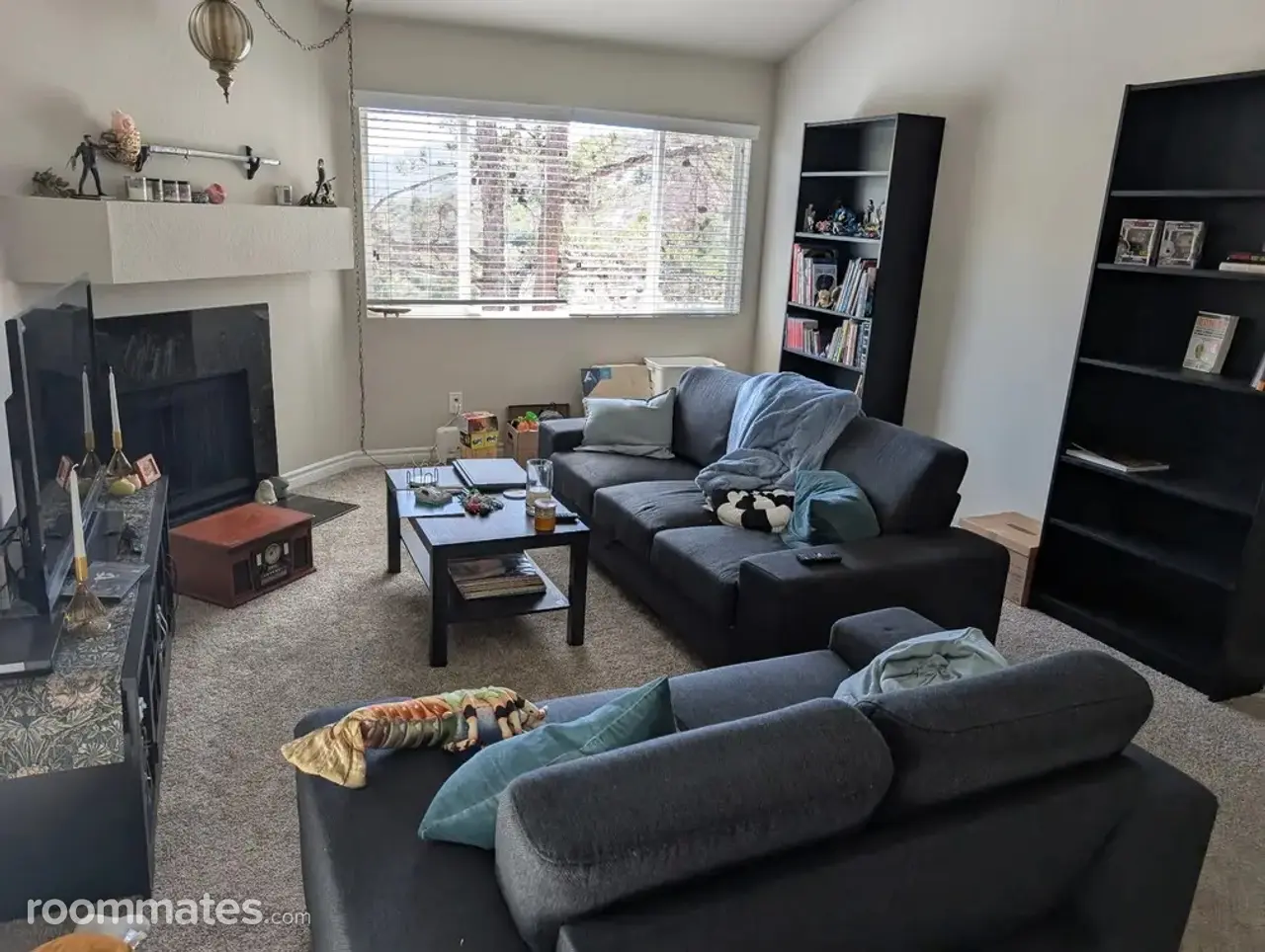 Profile photo 6 of 15