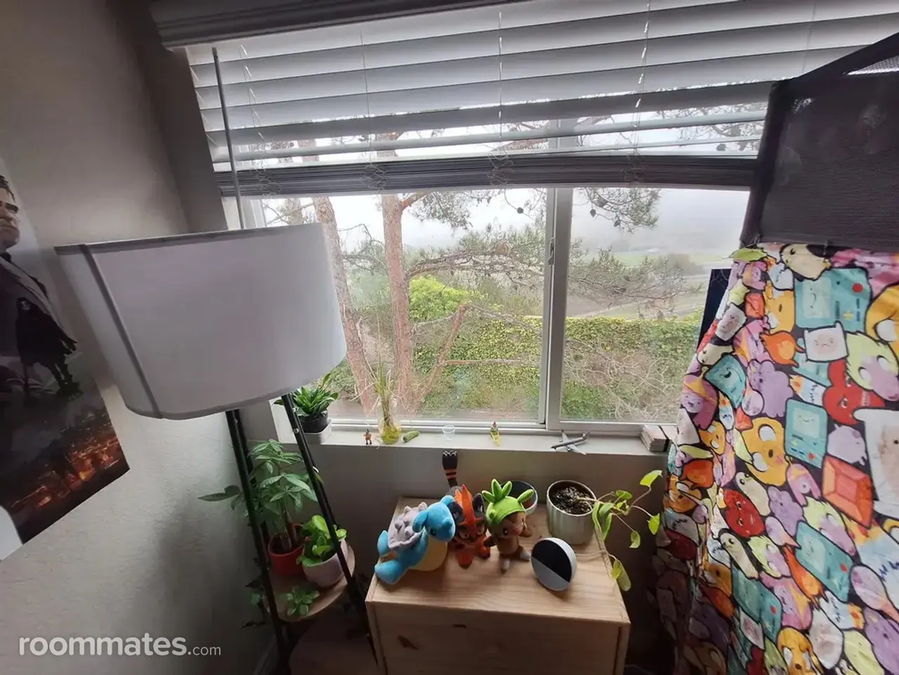 Profile photo 5 of 15