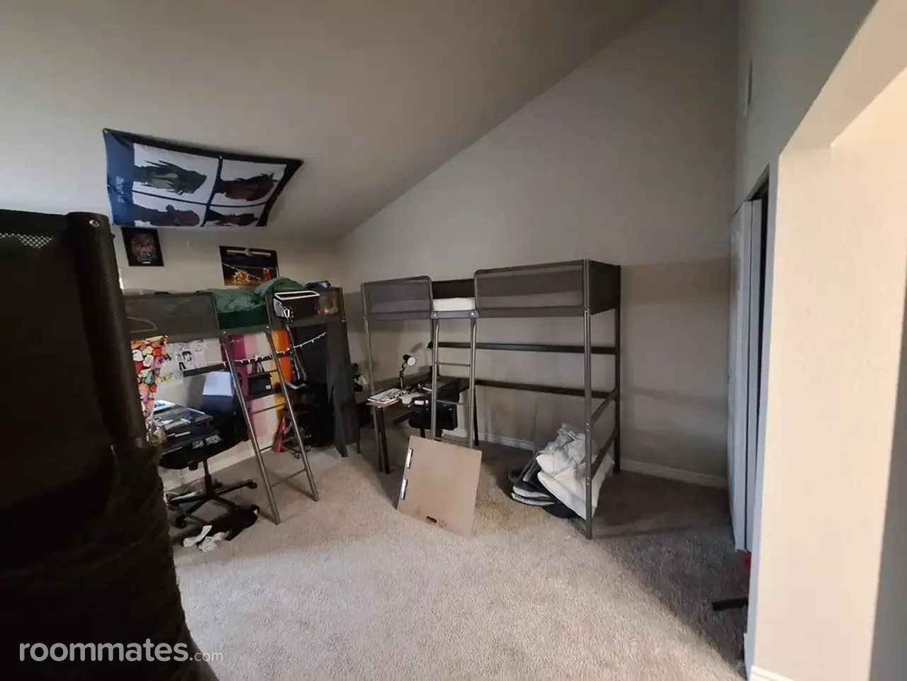 Profile photo 1 of 15