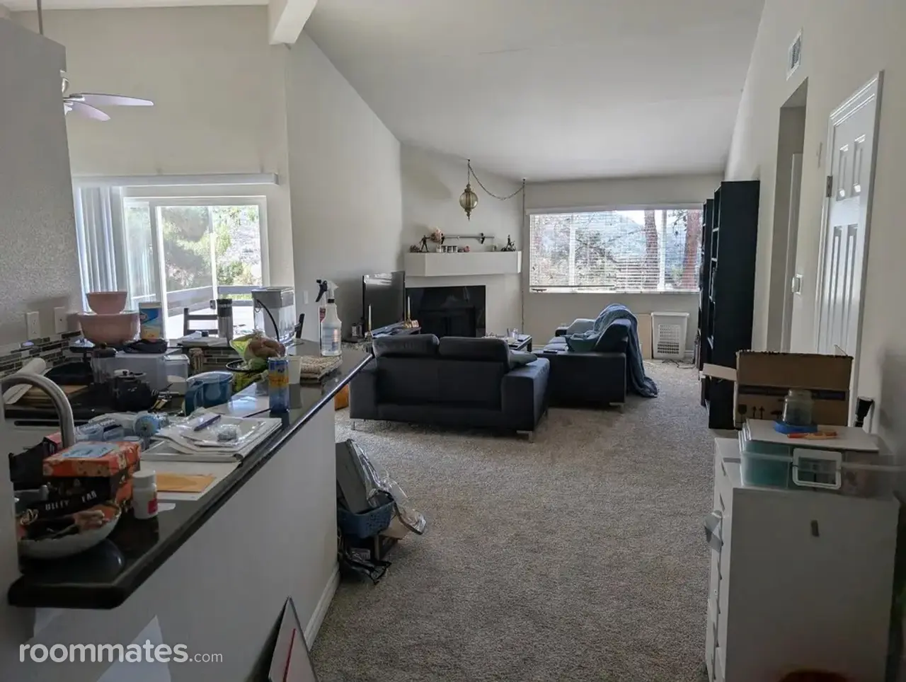 Profile photo 10 of 15