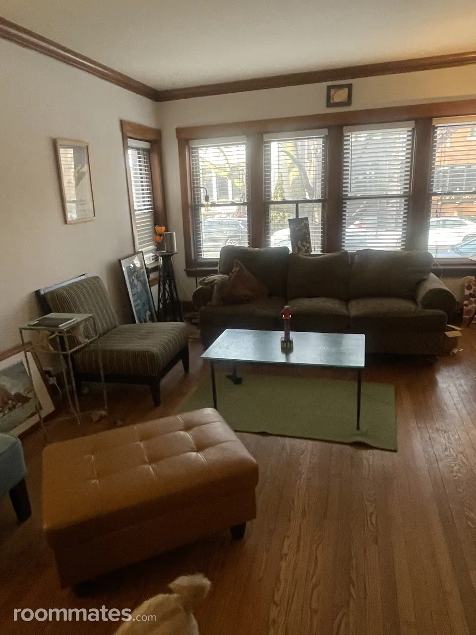 Profile photo 3 of 11