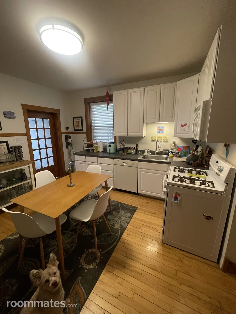 Profile photo 5 of 11