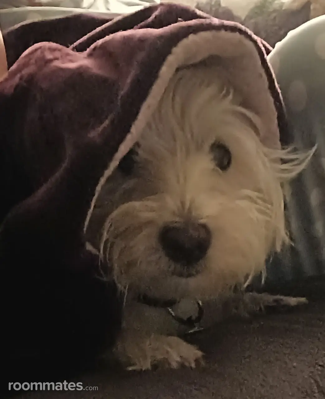 Profile photo 2 of 2