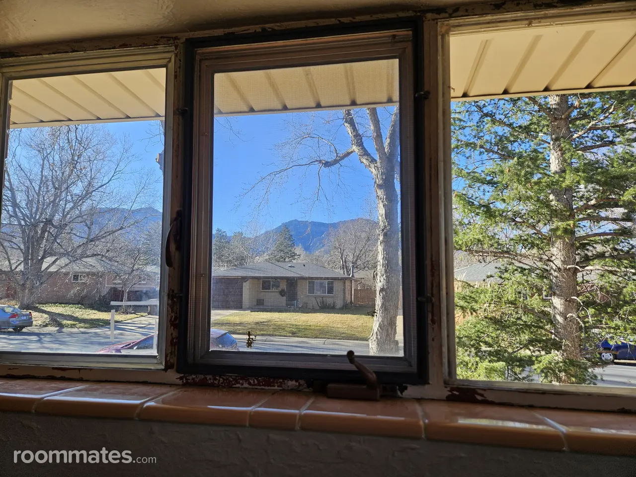 Profile photo 3 of 11