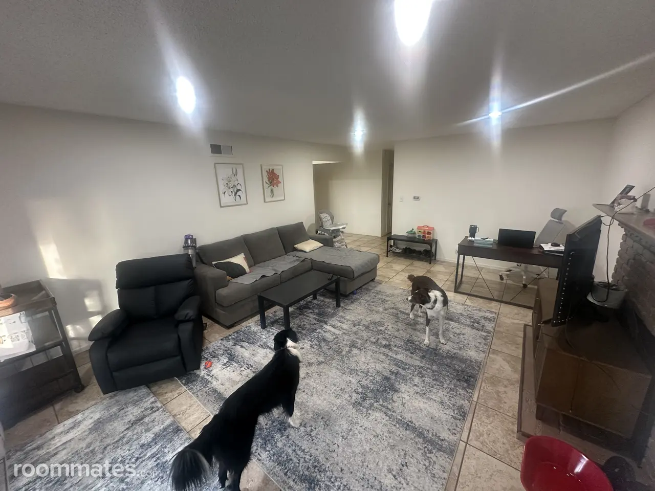 Profile photo 7 of 10