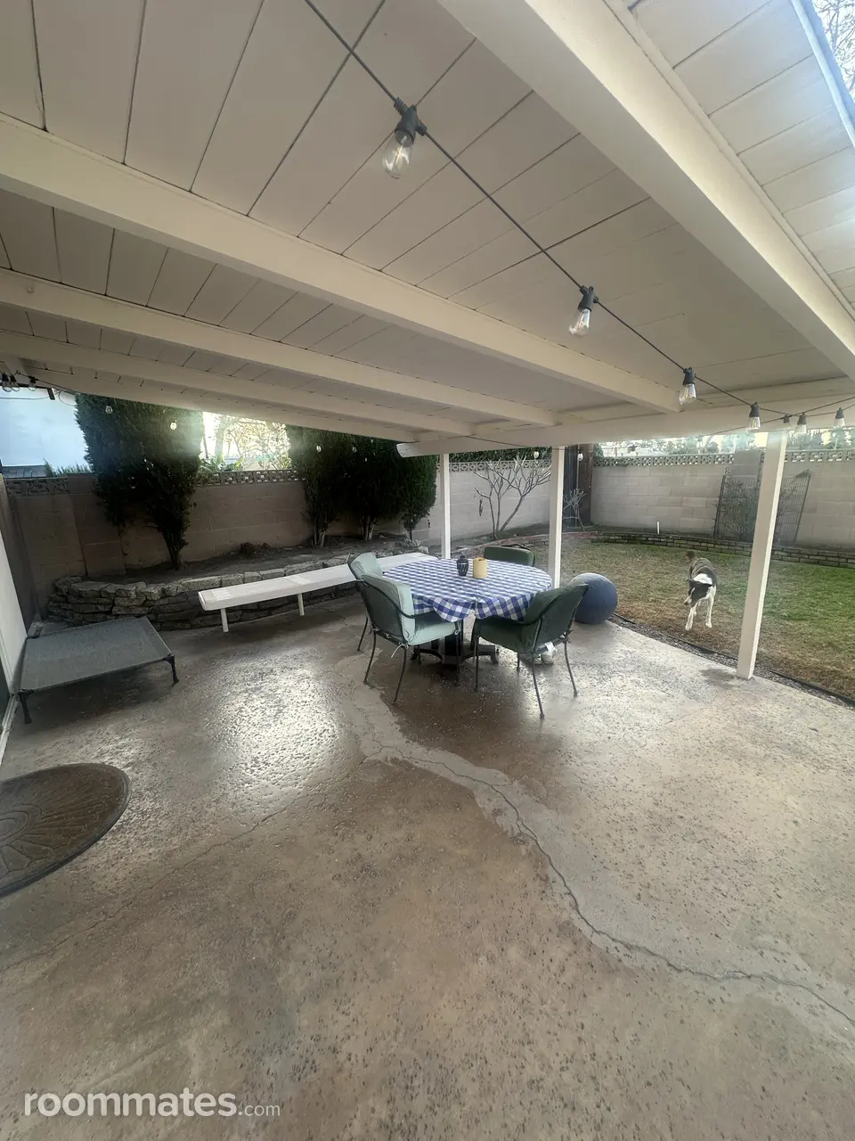 Profile photo 9 of 10