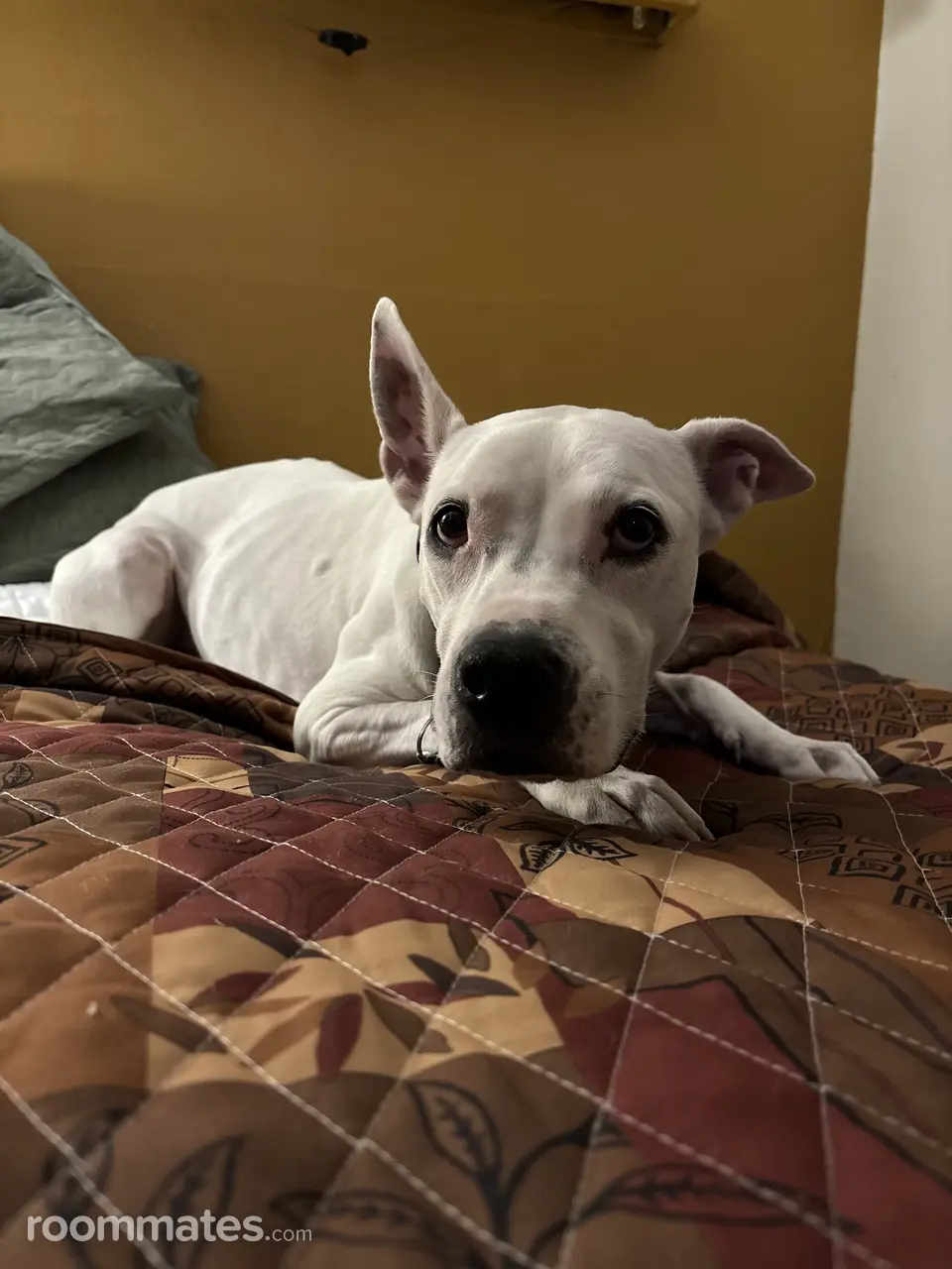 Profile photo 2 of 2