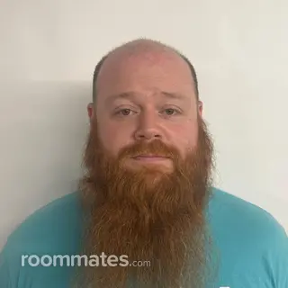 Roommate looking Port Deposit, MD, $700