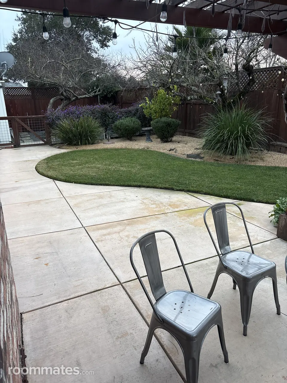 Profile photo 7 of 9