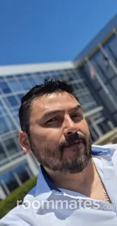 Roommate looking Novi, MI, $900