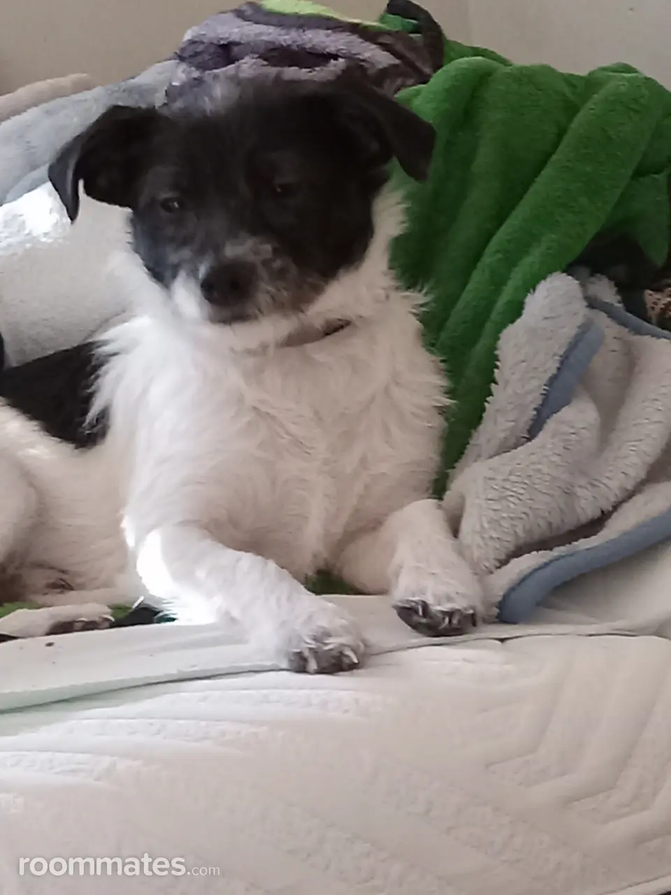 Profile photo 2 of 2