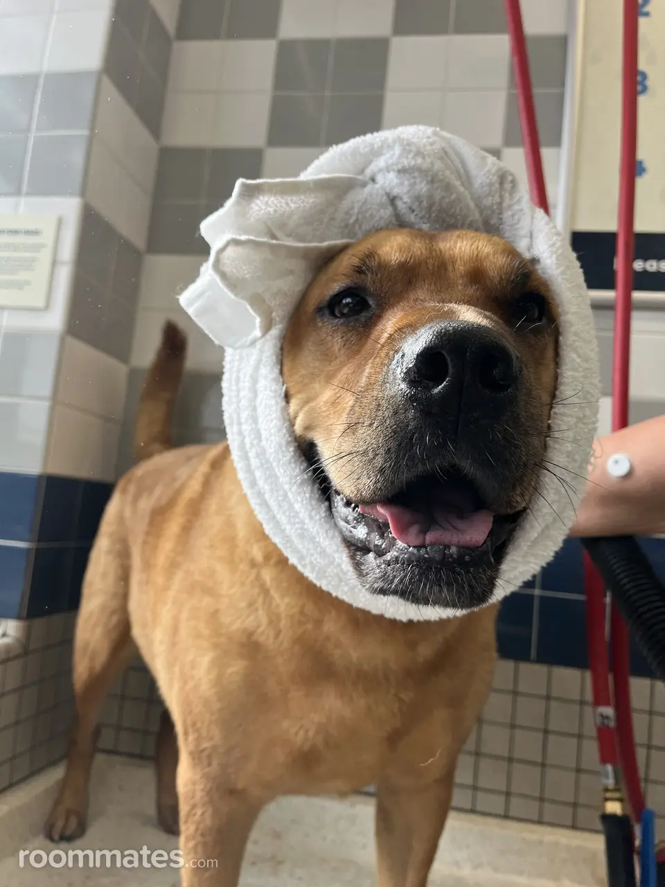 Profile photo 3 of 11