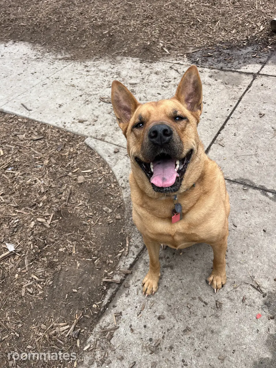 Profile photo 10 of 11