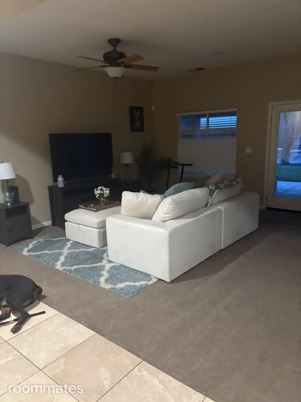 Profile photo 3 of 9