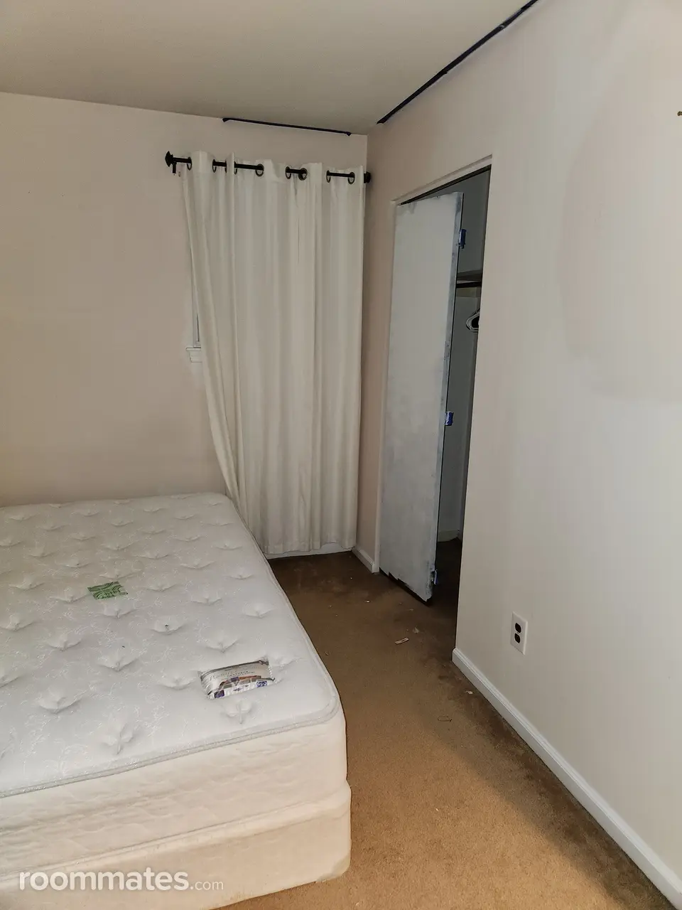 Profile photo 3 of 12