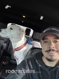 Roommate looking Hillsboro, OR, $1000