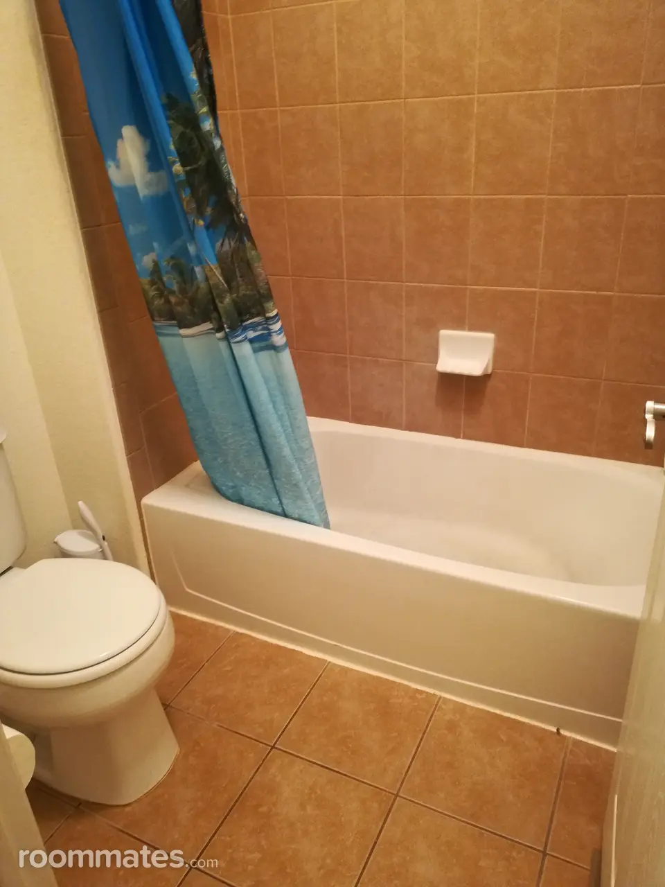 Profile photo 9 of 11