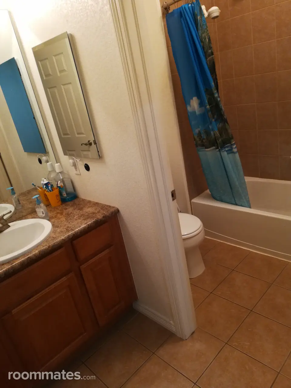 Profile photo 8 of 11