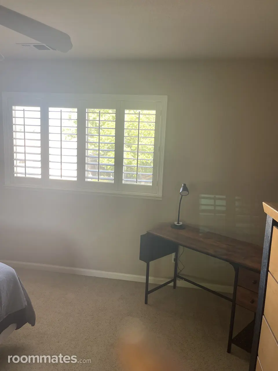 Profile photo 4 of 11