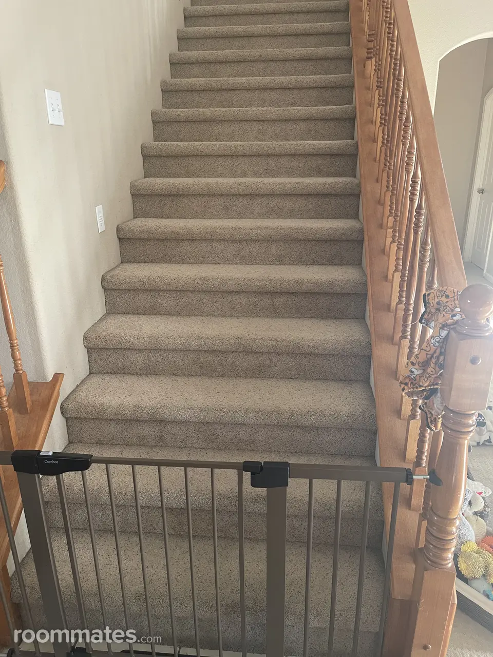 Profile photo 2 of 11